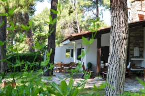 Villa Irini in Sani